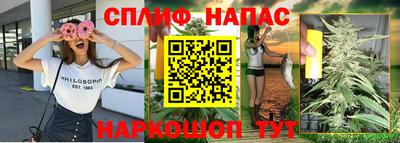 спиды Ефремов