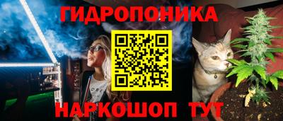 спиды Ефремов