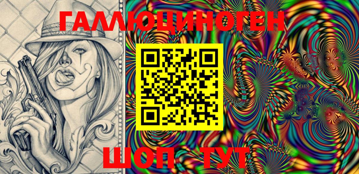 Псилоцибиновые грибы Psilocybe  Вход с VPN  Большой Камень 